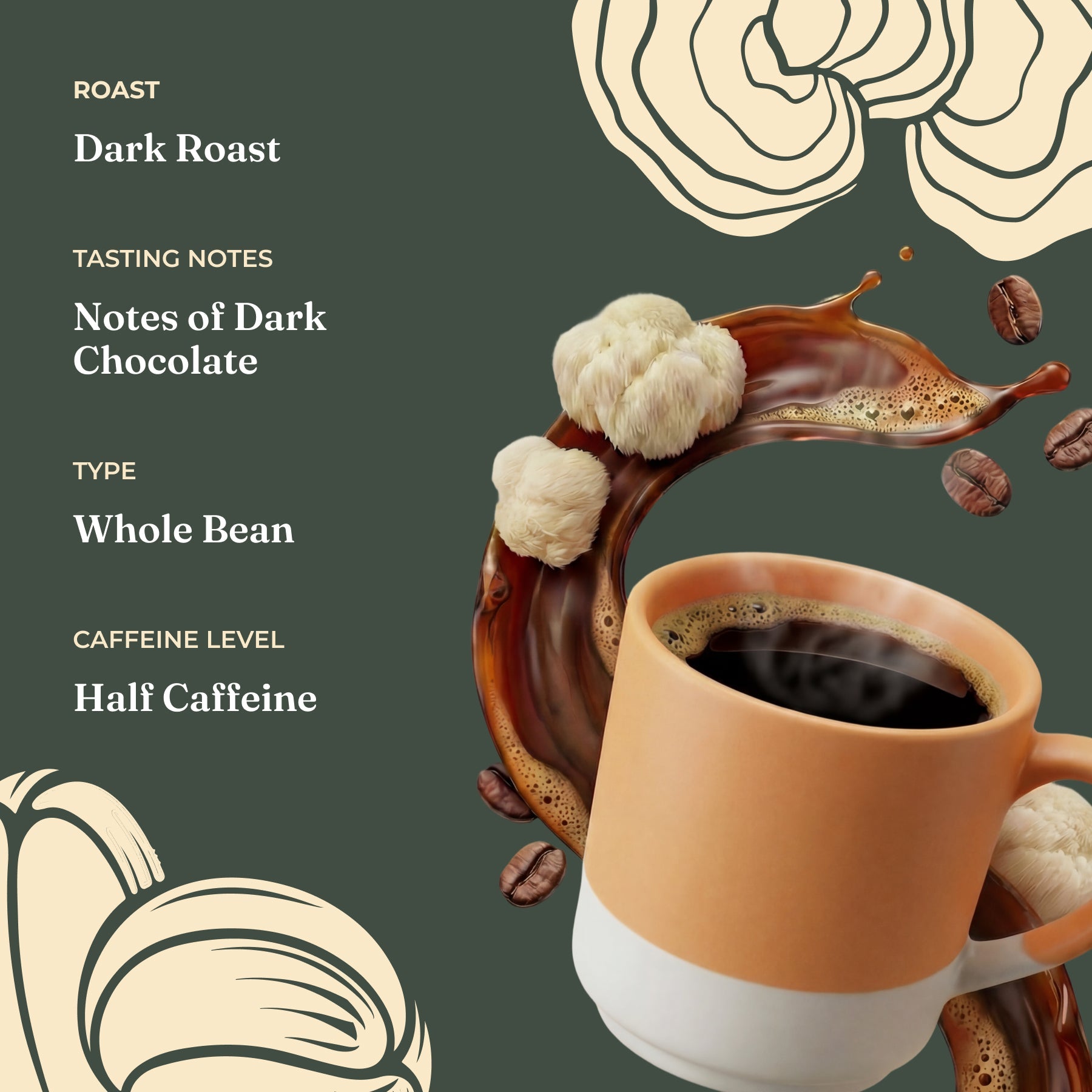 focus-half-caf-whole-bean-coffee-o7 Taste_-_Focus_Half_Caf_Whole_Bean_d1d02c35-db99-498e-ac43-813730db6953.jpg