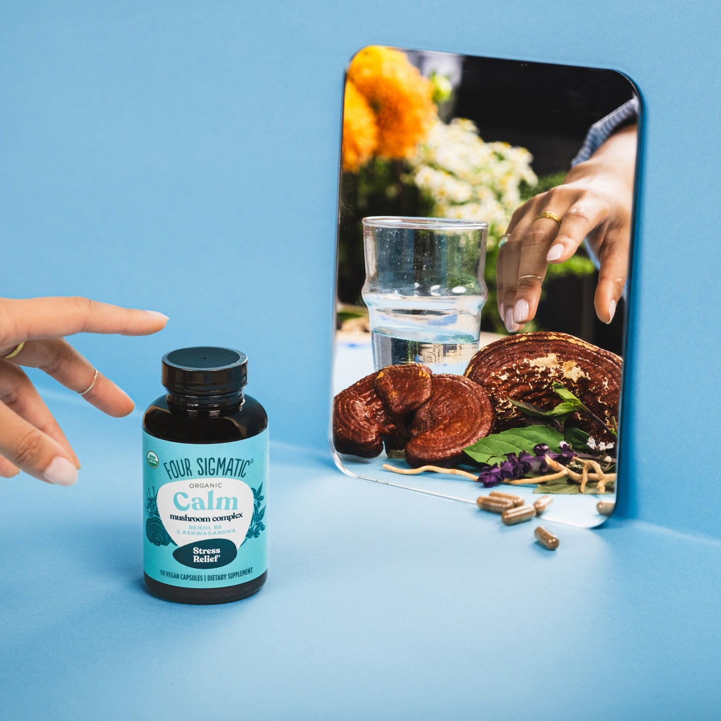 calm-capsules-a4 calm-capsule-1.jpg